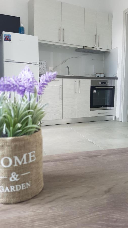 نيكيتي Erika Boutique Apartments المظهر الخارجي الصورة